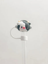 Load image into Gallery viewer, STRAW CAPS