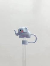 Load image into Gallery viewer, STRAW CAPS