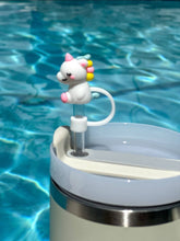 Load image into Gallery viewer, STRAW CAPS