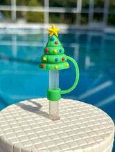 Load image into Gallery viewer, STRAW CAPS