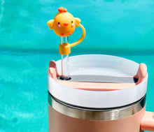 Load image into Gallery viewer, STRAW CAPS