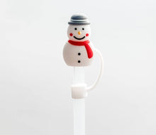 Load image into Gallery viewer, STRAW CAPS