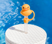 Load image into Gallery viewer, STRAW CAPS