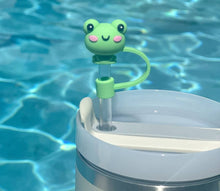 Load image into Gallery viewer, STRAW CAPS