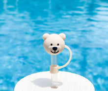 Load image into Gallery viewer, STRAW CAPS