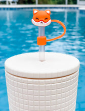 Load image into Gallery viewer, STRAW CAPS