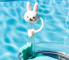 Load image into Gallery viewer, STRAW CAPS