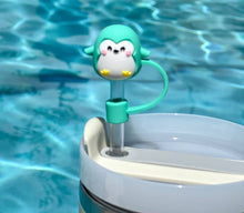 Load image into Gallery viewer, STRAW CAPS