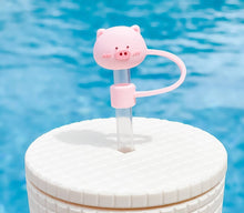 Load image into Gallery viewer, STRAW CAPS