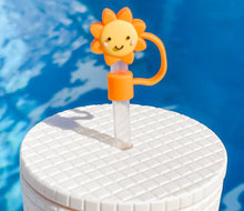 Load image into Gallery viewer, STRAW CAPS